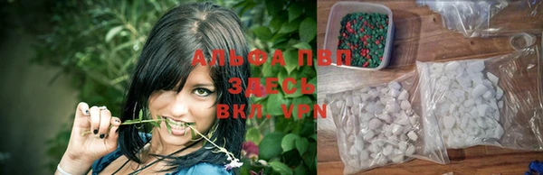 прущие крисы Абинск