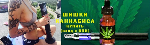 ГАЛЛЮЦИНОГЕННЫЕ ГРИБЫ Алексин