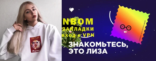 хмурый Алзамай