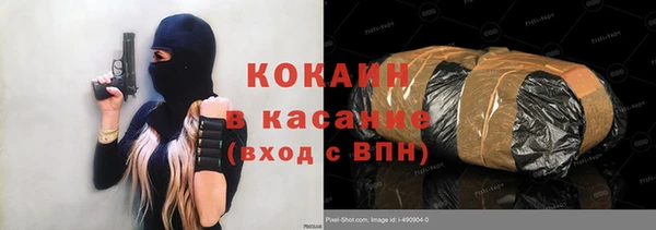 хмурый Алзамай