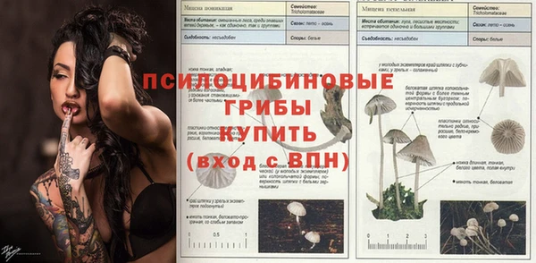 ГАЛЛЮЦИНОГЕННЫЕ ГРИБЫ Алексин
