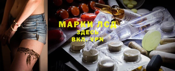 хмурый Алзамай