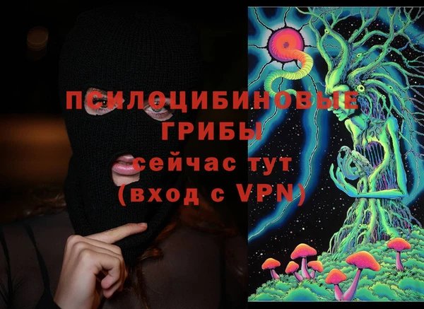 хмурый Алзамай