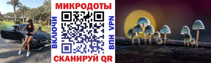 Галлюциногенные грибы MAGIC MUSHROOMS  продажа наркотиков  Карасук 