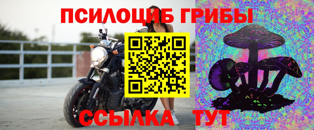 Галлюциногенные грибы прущие грибы  Вход с VPN  Карасук  Псилоцибиновые грибы Magic Shrooms 